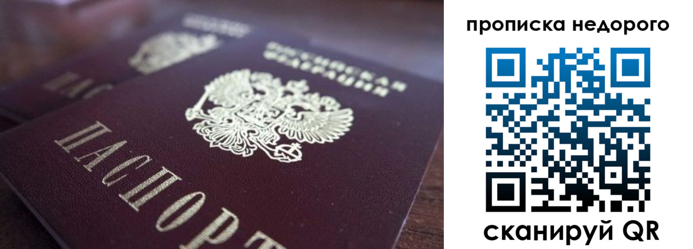 прописка штамп в Фрязино